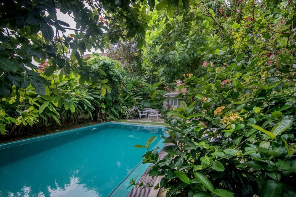Cozynest Villa Galle Exterior photo